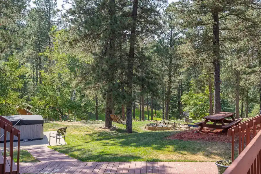 Sunny yard under the pines with a picnic table, a duck pond and a hot tub