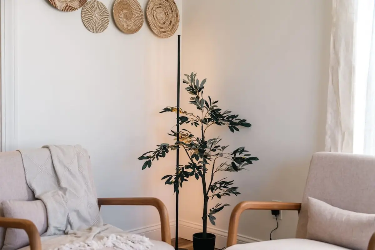 Armchair with a throw beside a floor lamp and a potted tree